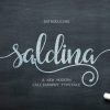 Saldina Font