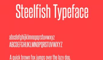 Steelfish Font View