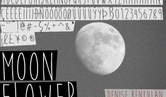 Moon Flower Font View