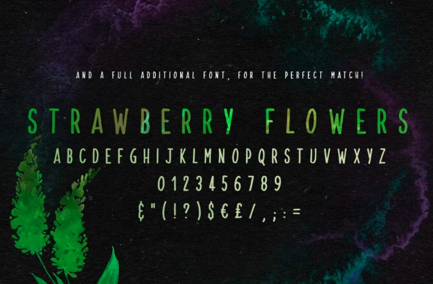 Strawberry Blossom Font View