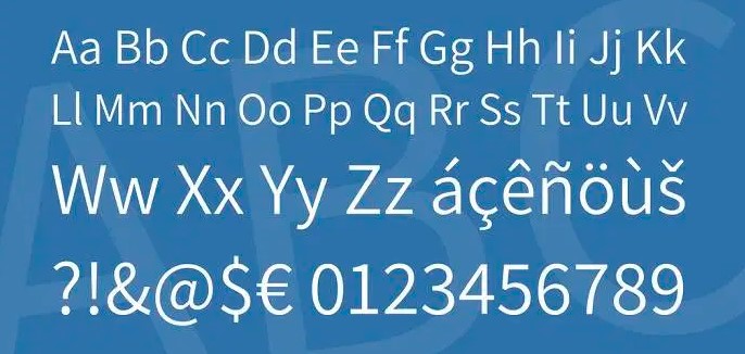 Assitant Font View