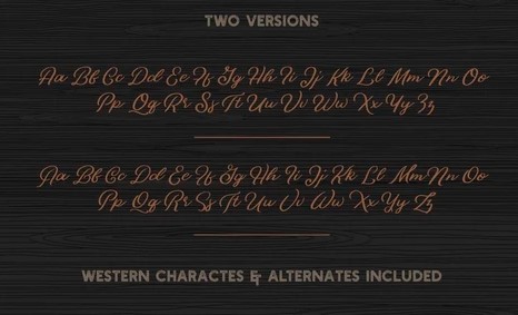 Bonfire Script Font View