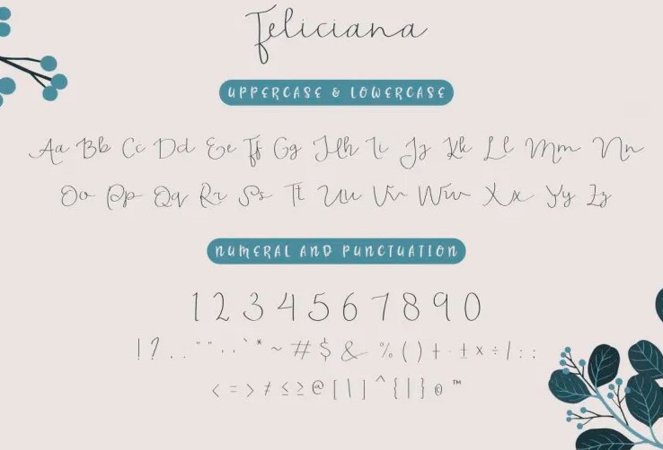 Feliciana Handwritten Font View