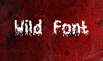 Wild Font