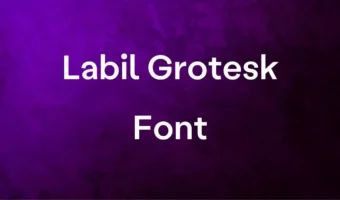 Labil Grotesk Font