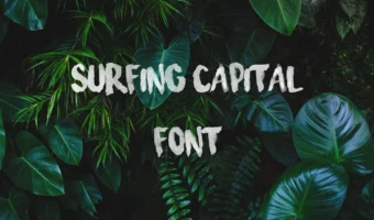 Surfing Capital Font